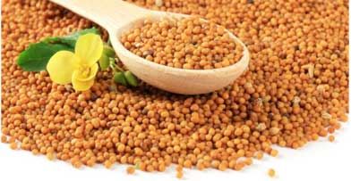 Mustard seeds are antibacterial in nature which prevents loose motions