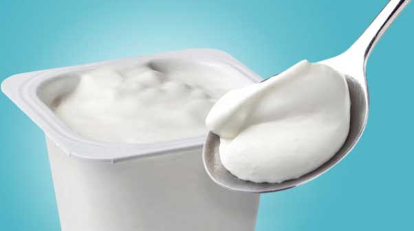 Yogurt Get Rid of Vaginal Yeast Infection