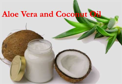 Aloe Vera and Coconut Oil