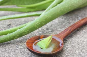 Aloe Vera has natural antiseptic that treats skin infections effectively