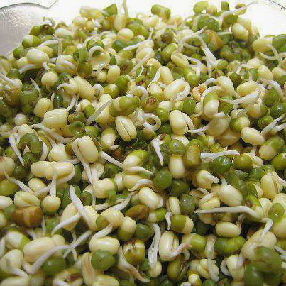 Benefits Eating Sprouts 