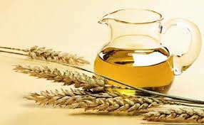 Benefits of Wheat Germ Oil