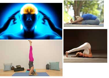 Powerful Yoga Asanas Will Boost Your Brain