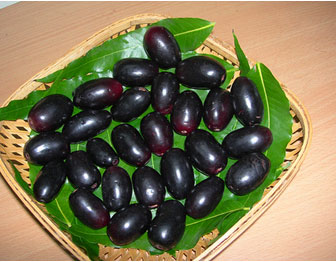 Benefits of Seasonal Fruits: Black Jamuns