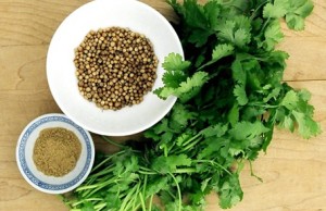 health benefits of coriander