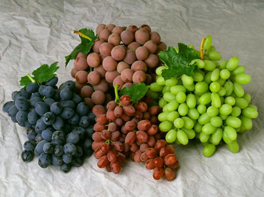 Amazing Health Benefits of Grapes