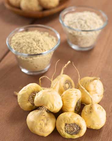 Maca Root has the power to boost fertility