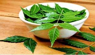 Neem has antiseptic properties that treats blemishes