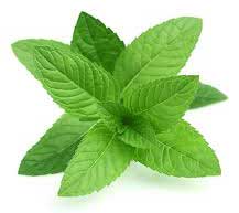 Peppermint Remedies to Relieve Stomach Ache