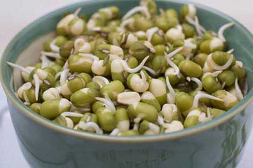 Raw Sprouts and Beans