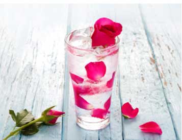 Rose Water prevents dryness and helps in weight loss