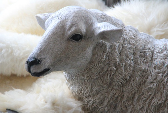 Sheep Skin Bed