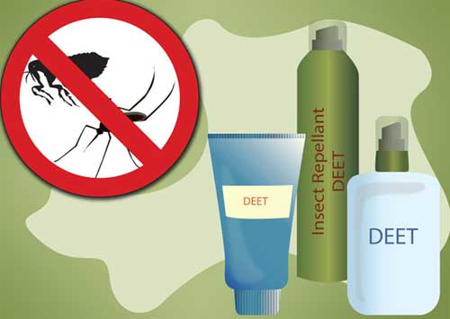 Ways to Get Rid of Mosquitoes