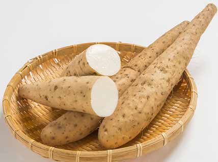 Wild Yam helps in producing progesterone and increases fertility