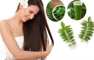 15 Amazing Health Benefits of Curry Leaves