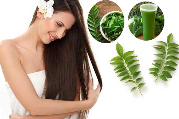 Truth about using curry leaves for hair growth