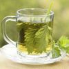 Health Benefits of Nettle Tea for Skin, Urinary System And Health