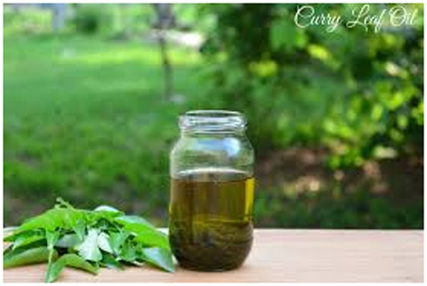Coconut oil infused with curry leaves
