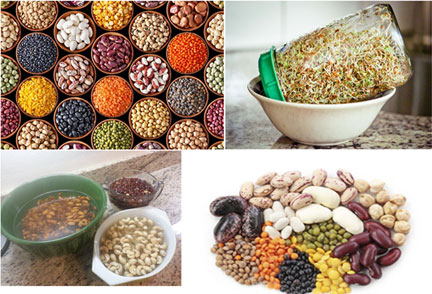 How TO Reduce Phytic Acid