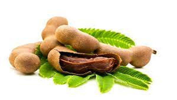 Nutritional Value of Tamarind Leaves
