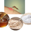 Treating Mosquito Bites with Home Remedies