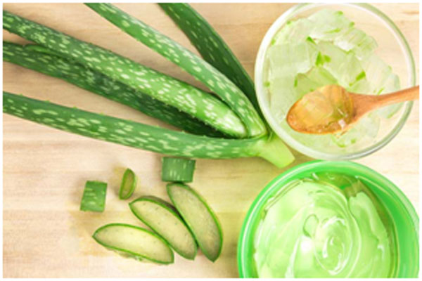 Aloe vera helps in moisturizing the scalp and makes hair frizz free