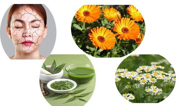 Magical Ayurvedic Treatments For Dry Skin