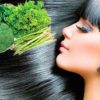 Best Foods and Natural Remedies for Healthy Hair