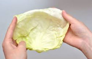 Cabbage to Dry up Breast