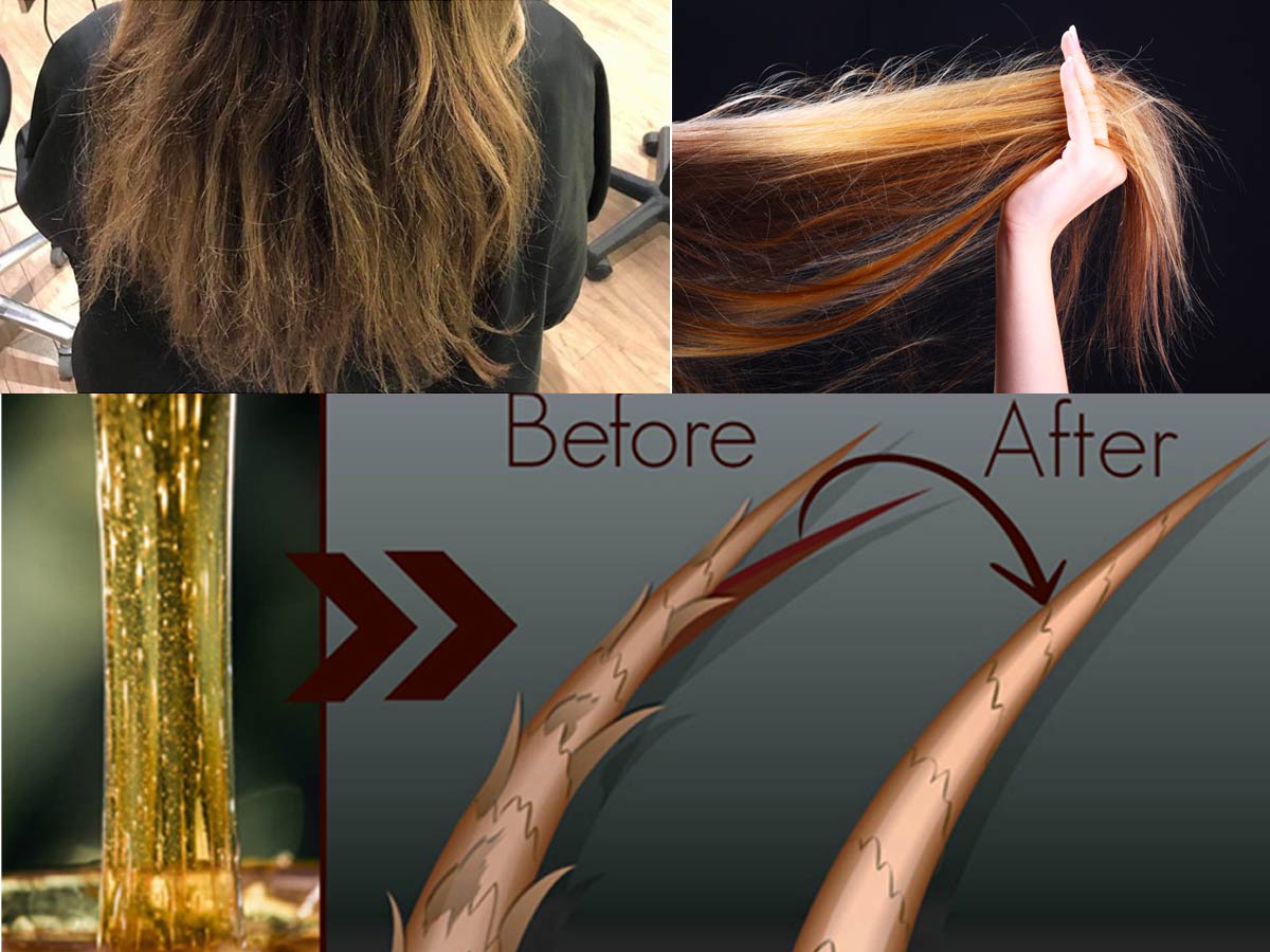 Causes and Prevention Of Split Ends | The Best Way To Fix Split Ends
