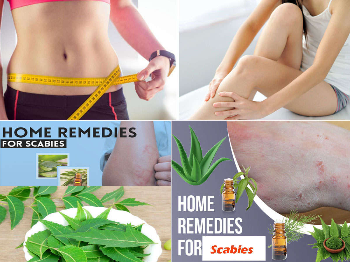 What Are The Causes Of Rashes & Bumps (Scabies) Below The Waist & Home Remedies