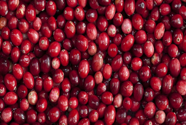 Cranberry - Beneficial for Women Health