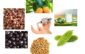 Diabetes: Symptoms and Home Remedies