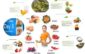 How to Reduce Weight Loss