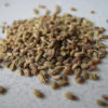 Amazing Health Benefits of Carom Seeds