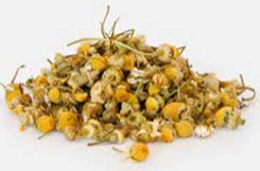 What is Chamomile
