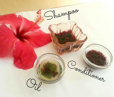 Hibiscus Tips to Make your Hair Grow Faster