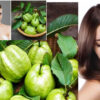 Unlocking the Secret to Lustrous Locks: How Are Guava Leaves Beneficial for Your Hair?