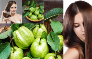 Guava Leaves for Hair Care: Nature's Secret to Lustrous Locks