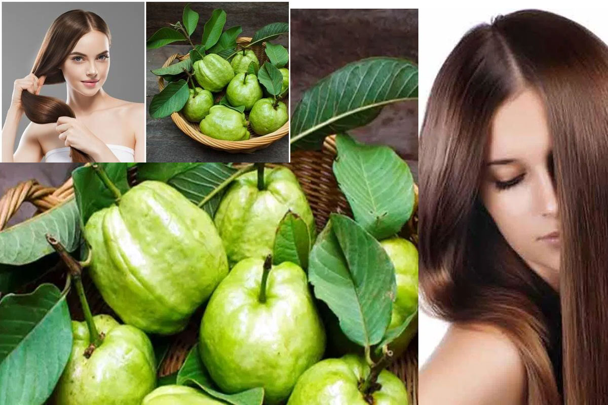 Guava Leaves for Hair Care: Nature's Secret to Lustrous Locks