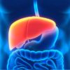 Liver Disease: Types, Symptoms, Causes, Diagnosis, Treatment