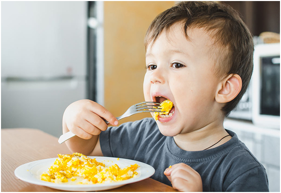Protein-Rich Food for Your Children Growth