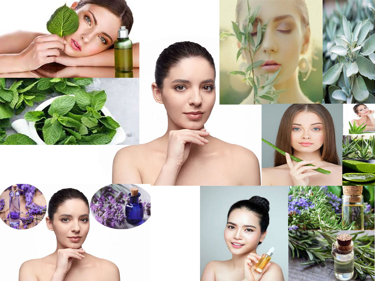 Miracle Plants That Have The Power To Beautify Your Skin