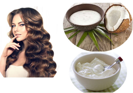 Homemade Protein Rich Hair Masks Will Make Your Day