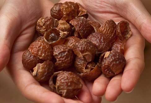 Hair Care And Benefits Of Using Reetha Or Soapnut 