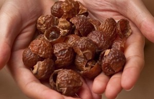 Soap Nuts for Hair Care