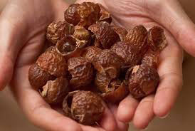 soap nuts for hair care