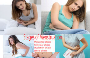 Different Stages Of Menstruation