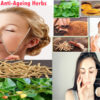 5 Super Anti-Ageing Herbs For Younger-Looking Skin | Best Herbs To Fight Skin Ageing