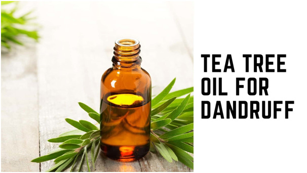 Add Tea Tree Oil To Your Shampoo